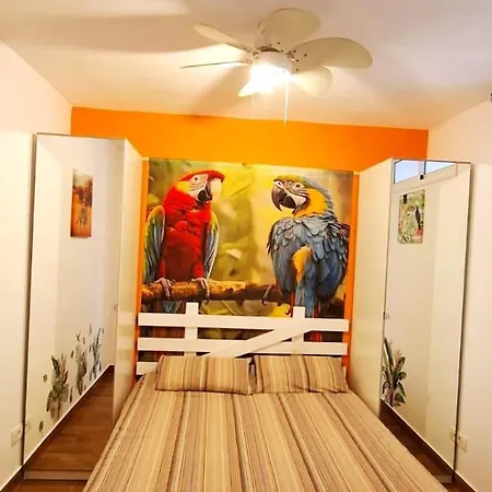 Apartament Amarilla Rock Arona (Tenerife)