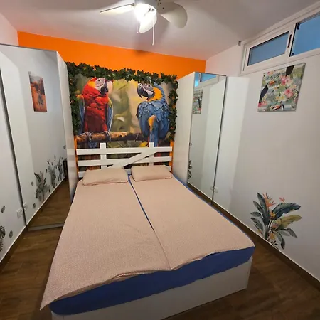 Amarilla Rock Appartement